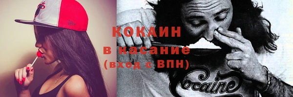 молекула духа Алексин