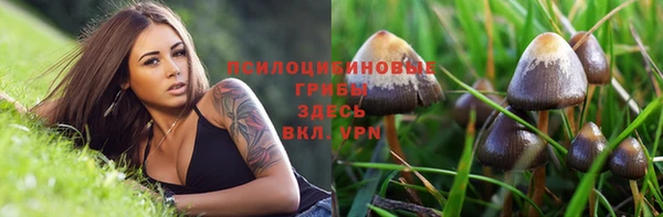 молекула духа Алексин
