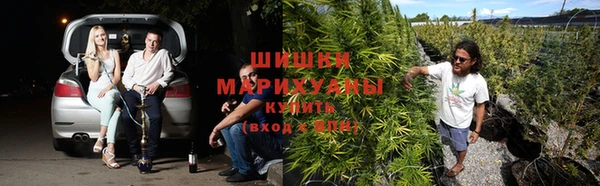 бутират Алексеевка